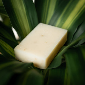 Eucalyptus Aloe Soaps